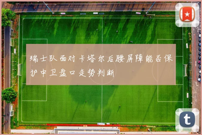 瑞士队面对卡塔尔后腰屏障能否保护中卫盘口走势判断