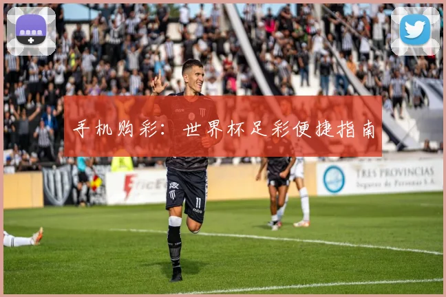 手机购彩:世界杯足彩便捷指南