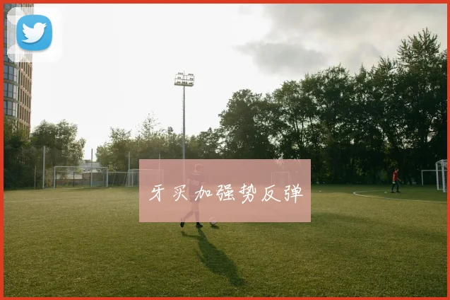 牙买加强势反弹