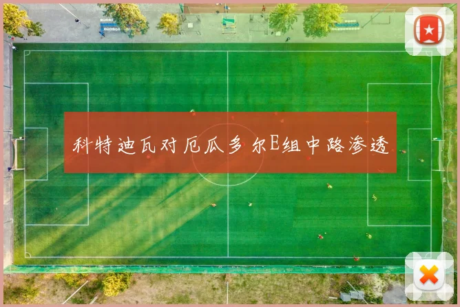 科特迪瓦对厄瓜多尔E组中路渗透