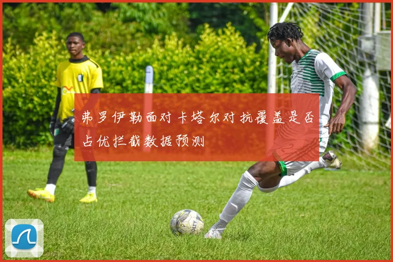 弗罗伊勒面对卡塔尔对抗覆盖是否占优拦截数据预测